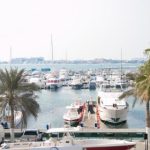 如何找到avgle官网链接及其使用指南 shvdb