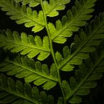 探索美女裸体打扑克软件的乐趣与魅力 70mrvc