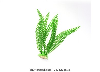 探索AEG动漫官网网站入口,畅享精彩动漫世界 探索AEG动漫官网网站入口,畅享精彩动漫世界