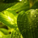 扑克游戏蜘蛛纸牌:挑战你的智力与策略,尽享无限乐趣! mws2u